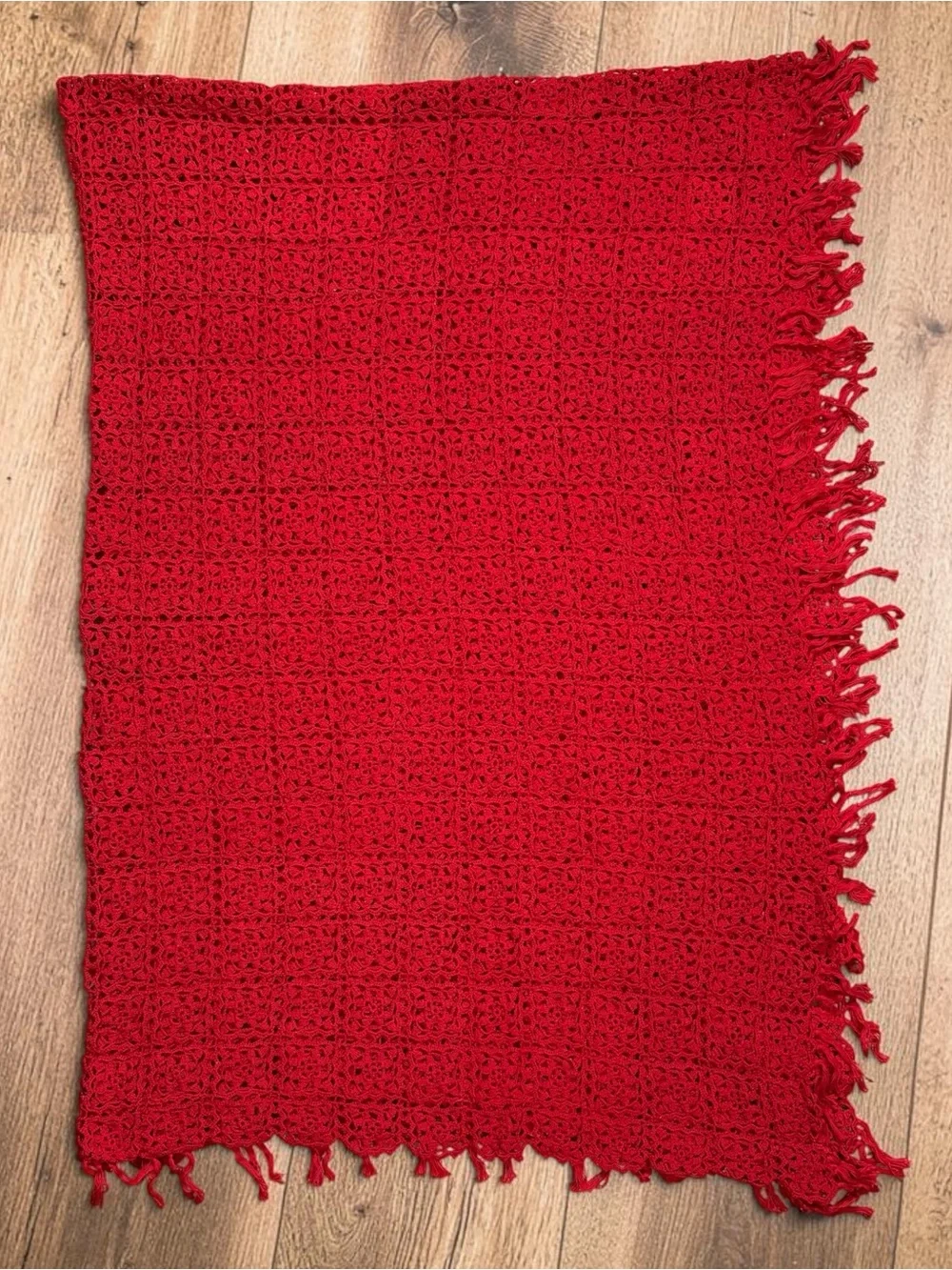 Vintage Crochet Blanket Throw Red Floral Lace Fringe